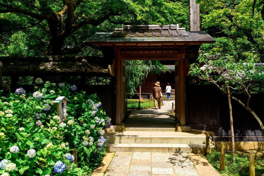 Khám phá ngôi đền ly hôn có một không hai ở Nhật Bản-1