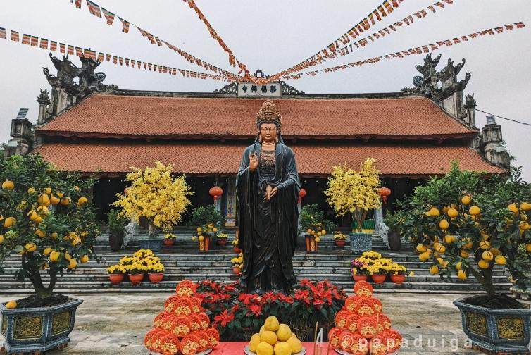 Ngôi chùa cổ hơn 800 năm tuổi có tượng Phật bằng gỗ lũa lớn nhất Việt Nam-1