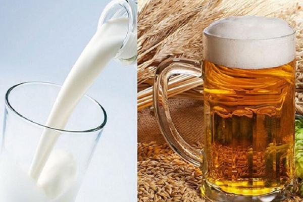 Bia kết hợp với sữa tươi có tác dụng gì?-1