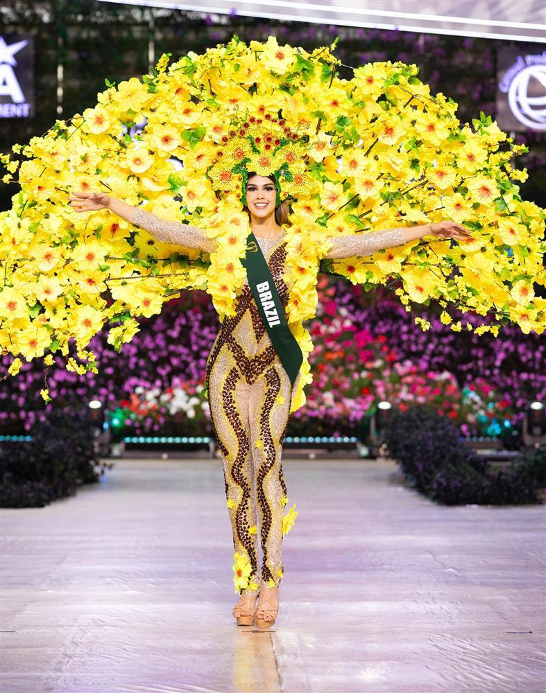 Trang phục dân tộc của người đẹp Brazil ở Hoa hậu Trái Đất bị tố đạo nhái-1